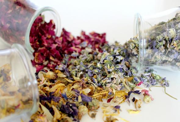 Pot Pourri